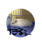 しんたろうの一日。（個別スタンプ：11）