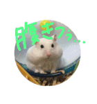 しんたろうの一日。（個別スタンプ：14）