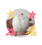しんたろうの一日。（個別スタンプ：15）
