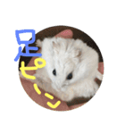 しんたろうの一日。（個別スタンプ：16）