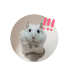 しんたろうの一日。（個別スタンプ：20）