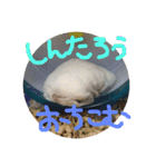 しんたろうの一日。（個別スタンプ：22）