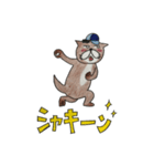眉太カワウソカンちゃん（個別スタンプ：29）