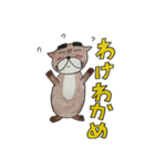 眉太カワウソカンちゃん（個別スタンプ：37）