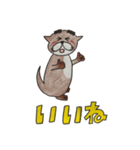 眉太カワウソカンちゃん（個別スタンプ：40）