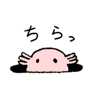 シンプル ウーパールーパー（個別スタンプ：7）