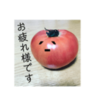 全部トマト（個別スタンプ：1）