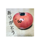 全部トマト（個別スタンプ：2）
