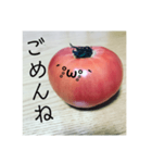 全部トマト（個別スタンプ：4）