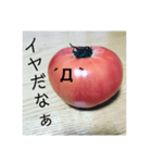 全部トマト（個別スタンプ：6）
