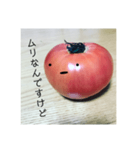 全部トマト（個別スタンプ：7）