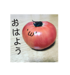 全部トマト（個別スタンプ：11）