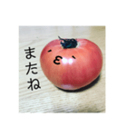 全部トマト（個別スタンプ：12）
