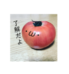 全部トマト（個別スタンプ：14）