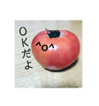 全部トマト（個別スタンプ：16）