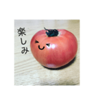 全部トマト（個別スタンプ：19）