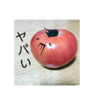全部トマト（個別スタンプ：20）