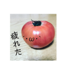 全部トマト（個別スタンプ：24）