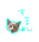 魅惑のれお猫スタンプ（個別スタンプ：10）