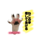 阿部ひめこ（個別スタンプ：2）