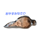 子供達とレオ（個別スタンプ：8）