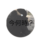 きんぐおぶえふじぇい（個別スタンプ：13）