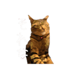伊藤家のよもぎさん（個別スタンプ：1）