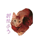 伊藤家のよもぎさん（個別スタンプ：8）