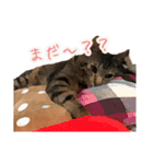 伊藤家のよもぎさん（個別スタンプ：12）