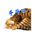 伊藤家のよもぎさん（個別スタンプ：15）