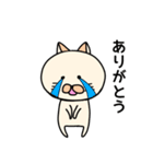 ネコぐるみの日常（個別スタンプ：3）