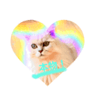 ゆる猫物語（個別スタンプ：2）