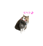 姫様と坊ちゃん（個別スタンプ：9）