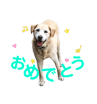 らきおのスタンプ。（個別スタンプ：3）