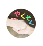 らきおのスタンプ。（個別スタンプ：14）
