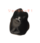 ねこしぐさ1（個別スタンプ：4）