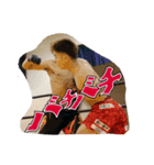 池田 一歩専用スタンプ（個別スタンプ：7）