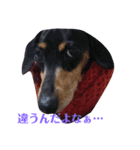 らっきぃぃぃ…（個別スタンプ：1）