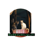 ねこにゃんこねこ（個別スタンプ：14）