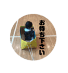 りくの気持ち（個別スタンプ：22）