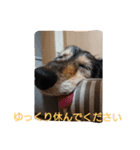 りくじぃの日常2（個別スタンプ：4）