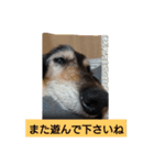 りくじぃの日常2（個別スタンプ：5）