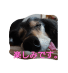 りくじぃの日常2（個別スタンプ：7）