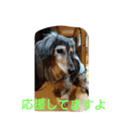 りくじぃの日常2（個別スタンプ：9）