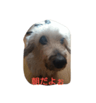 りくじぃの日常2（個別スタンプ：10）