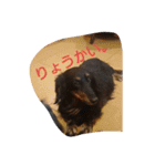 りくじぃの日常2（個別スタンプ：12）