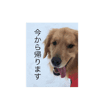こはうた日和（個別スタンプ：2）