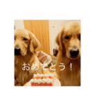 こはうた日和（個別スタンプ：4）