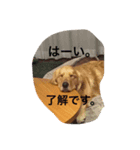 こはうた日和（個別スタンプ：7）