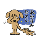 トイプー「マル」基本セット（個別スタンプ：3）